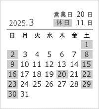 2025年3月